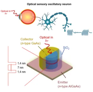 Schematic of neuromorphic photonic nanopillar